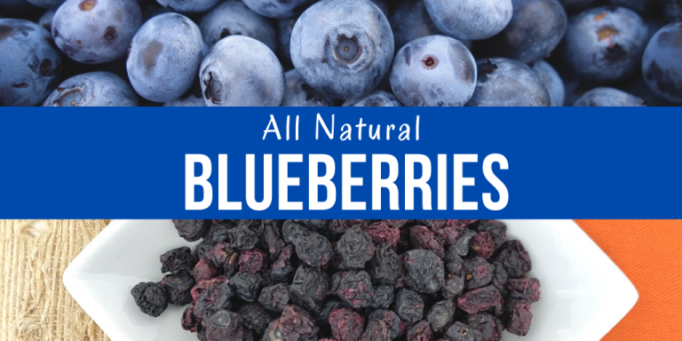 All-Natural Blueberries: Welcome To The Family – Seawind Foods ...